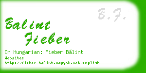 balint fieber business card